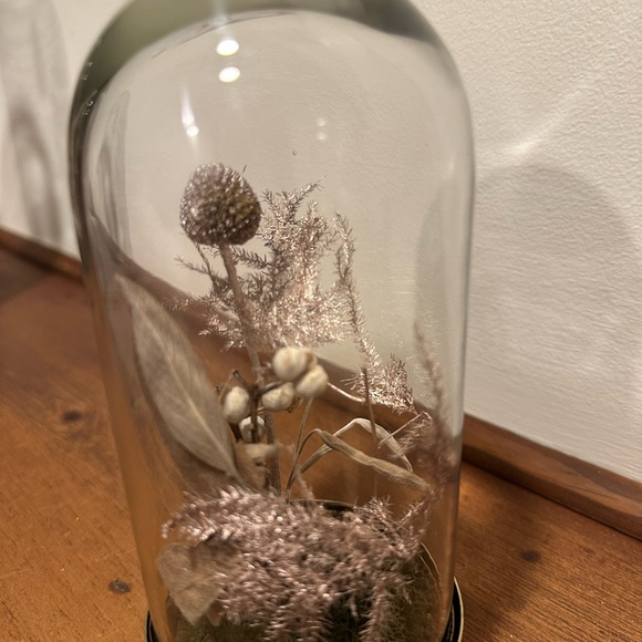 Dried Flowers and Botanicals in Decorative Glass Cloche Duo - Picture 10 of 10
